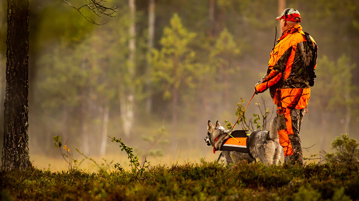 A hunter and his dog both wearing orange out in the woods