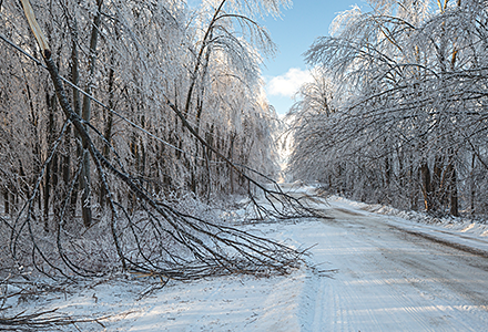 Snowy road with fallen trees covered with ice
