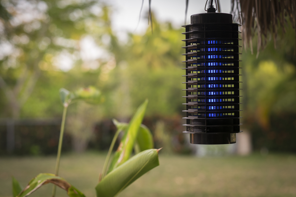 Bug zapper hanging from a tree in a yard