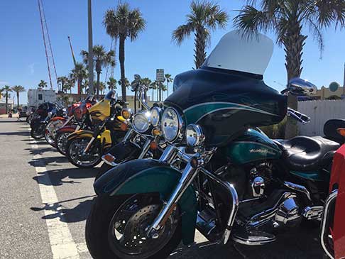 Motorcycles of every kind parked and lined up with palm trees in the background