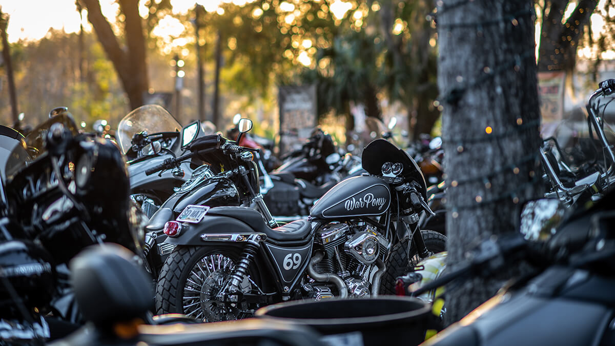 A row of motorcycles sitting in the sun with palm trees in the background