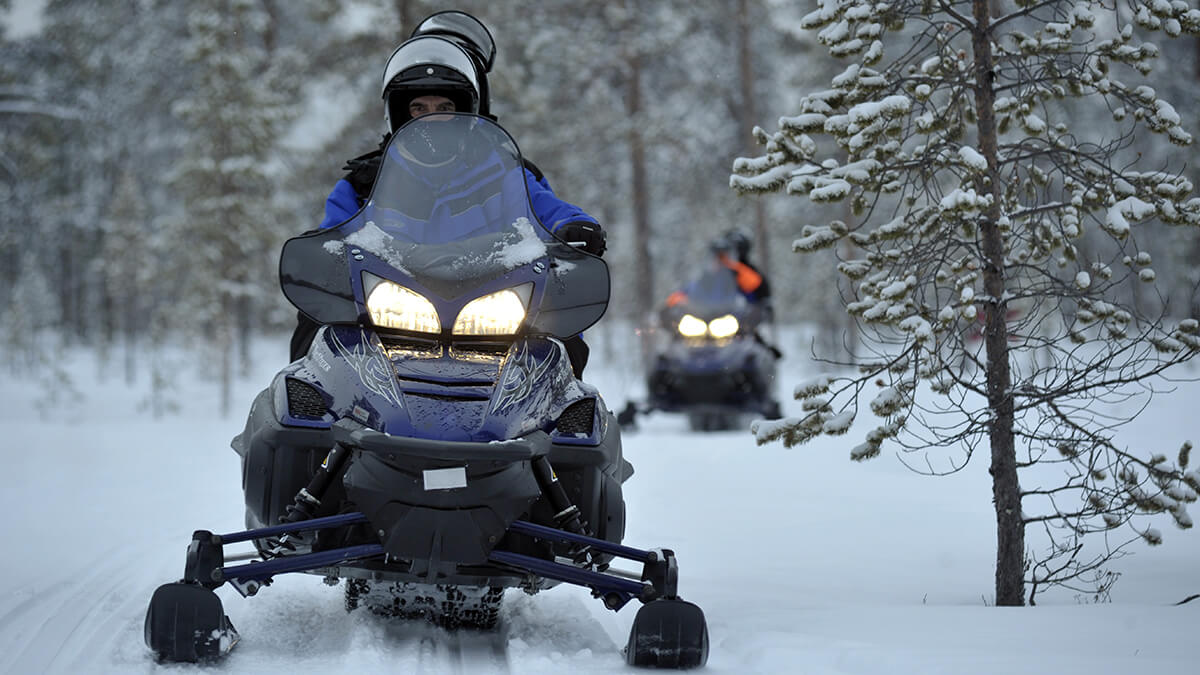 Snowmobilers on a wooded trail