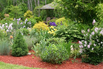 Landscaping with different varieties of plants