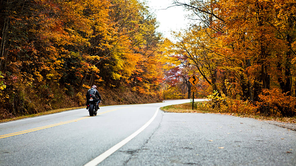 A lone motorcyclist on a scenic road cutting through fall colored trees.