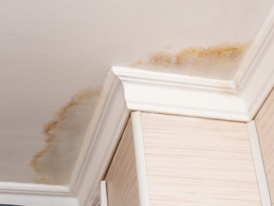 Extensive leaking in ceiling