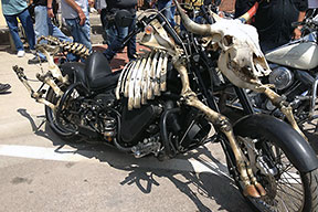A bike with cow skeleton decorations on it