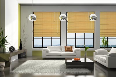 A living room with nice window blinds